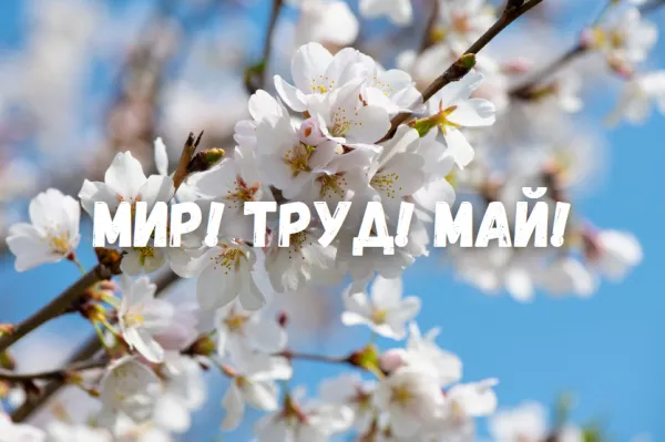 Мир! Труд! Май!